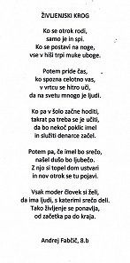 Andrej Fabčič, 8.r., Življenjski krog